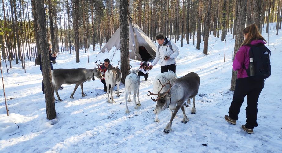 29 38 Lapland 8 29 38 Lapland 8